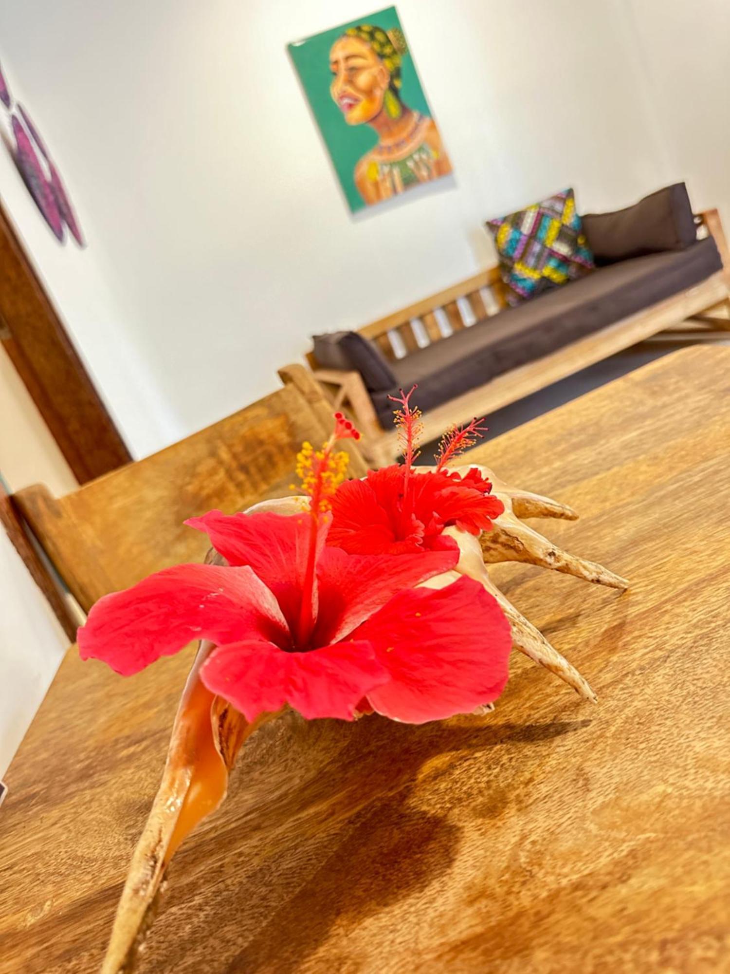 Sand Beach Boutique Apartments بويجو المظهر الخارجي الصورة